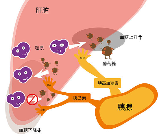 血糖