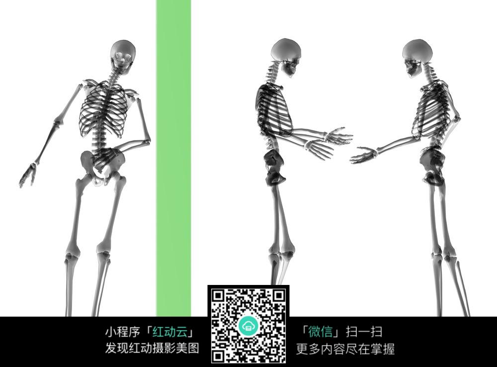 视频 为骨骼健康升温 抗住寒冬的攻势