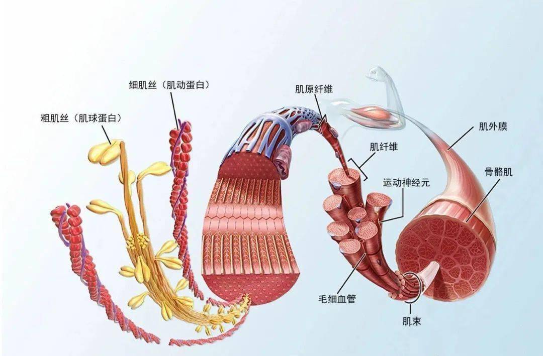 伤害宝宝骨骼的五个关键因素 家长自我检查 不容忽视