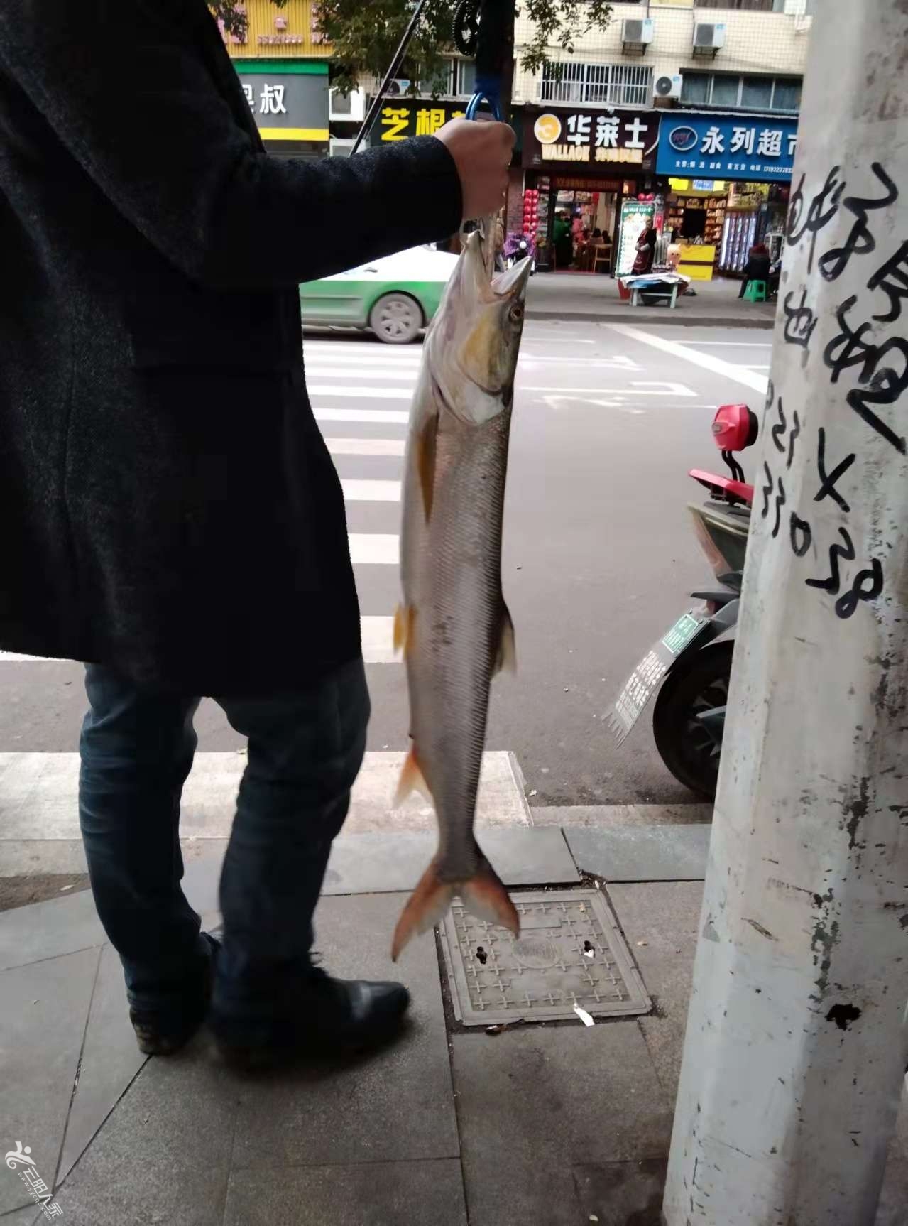 好大一条鱼 网红泡面又出奇招！康师傅新品上线 网友惊呼