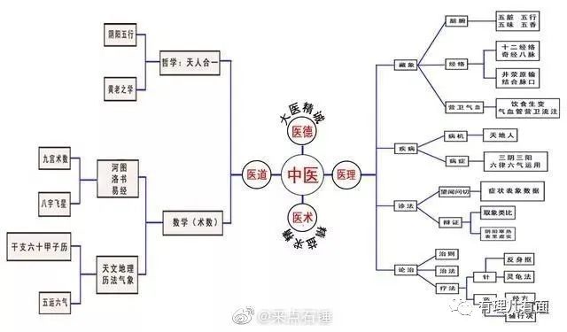 中医学和现代医学结合的健康卫士 狐大医