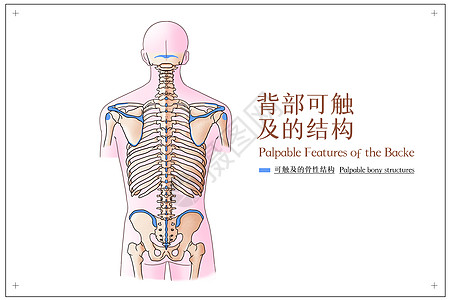 比赛