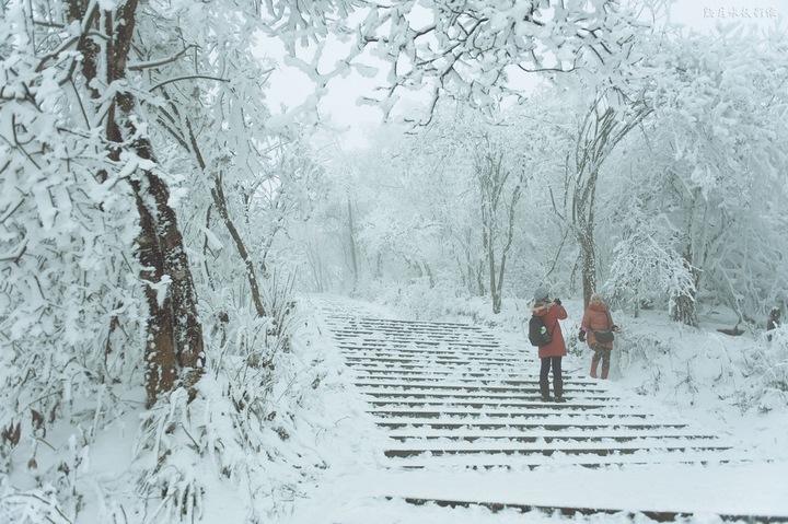 整个冬天不怕冷！ 东方24节气·小雪 小雪灸一灸