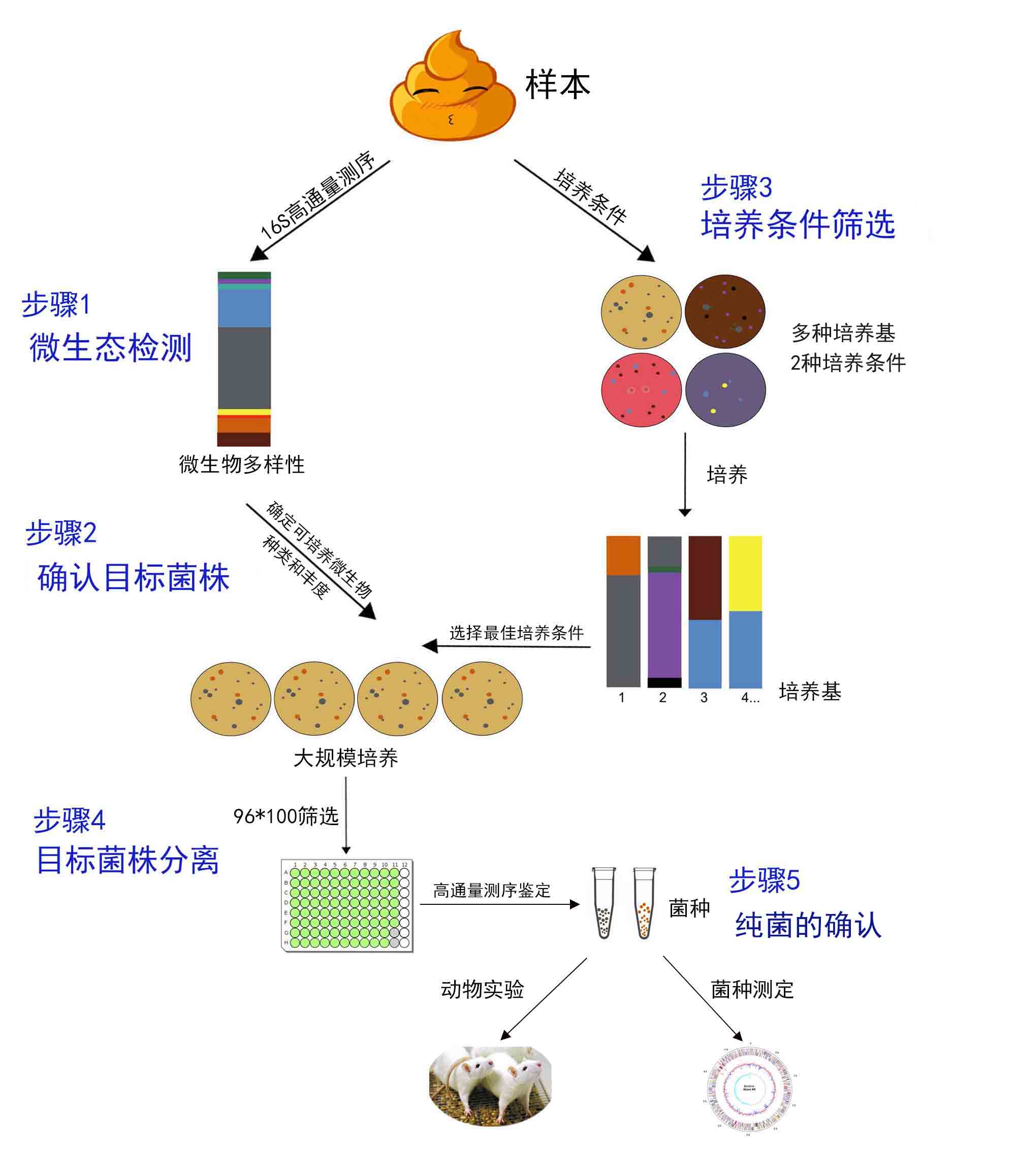 培养韧性 停止在琐事上浪费孩子的潜力 激发成长