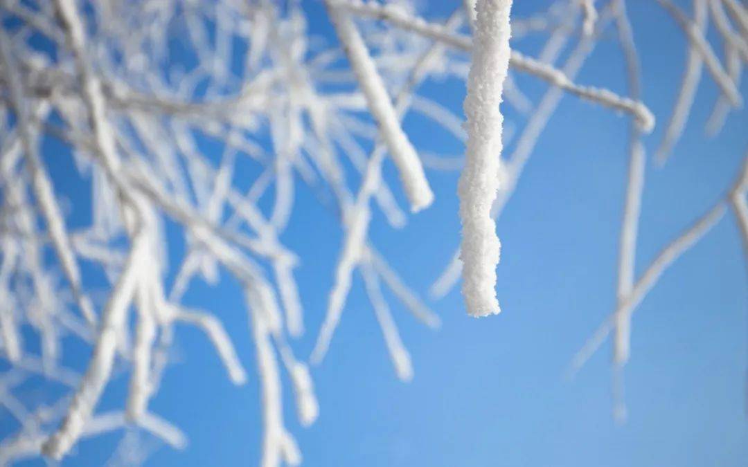 小雪前后不妨多吃点！ 这4种黑色食物