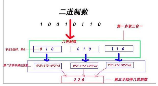 灰熊队