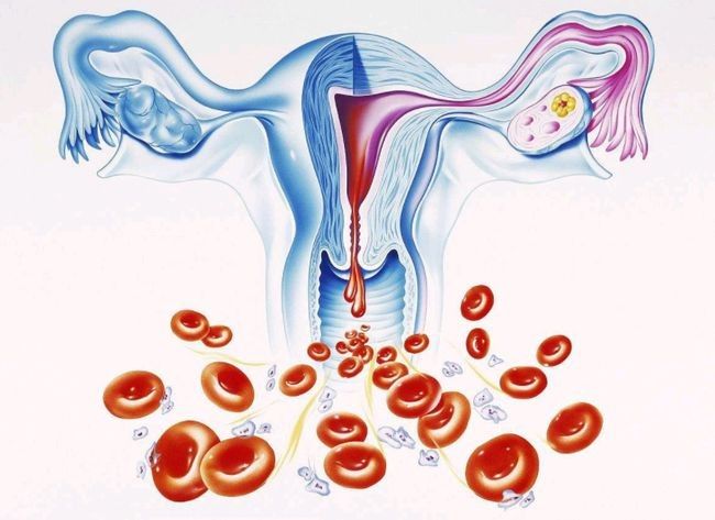 不仅仅是宫颈癌疫苗 HPV 疫苗的真相 男性也可以接种！