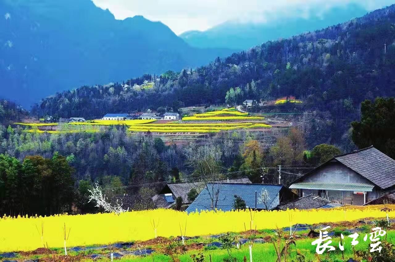 秭归九红与哀牢山冰糖橙 开启味觉之旅 秋日味蕾盛宴