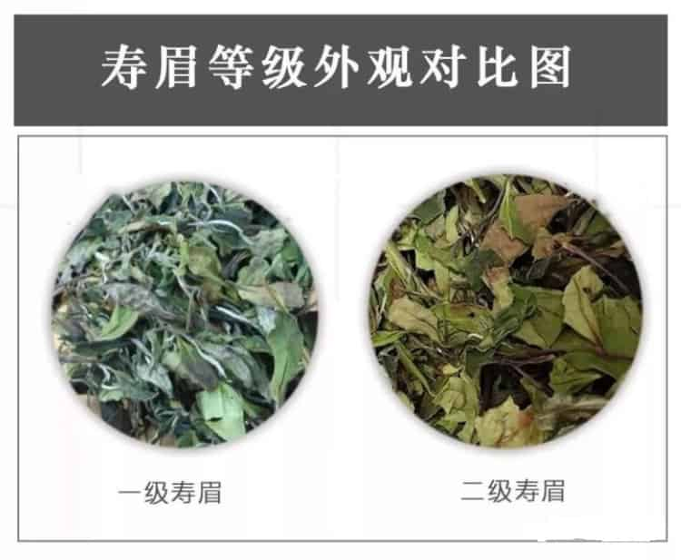 高等级白茶中后段出现酵感的原因