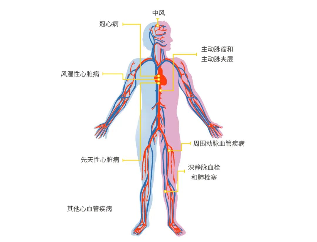 死亡率