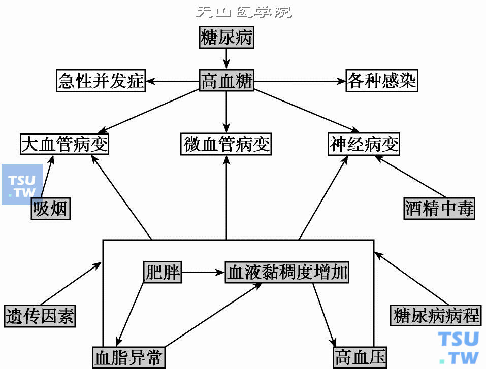 糖尿病并发症的潜伏威胁 血糖值警戒线