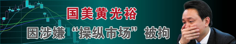 黄光裕的豪赌 国美进军汽车销售 能否重塑零售帝国