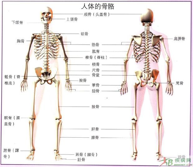 我国首例坐骨连体双胞胎