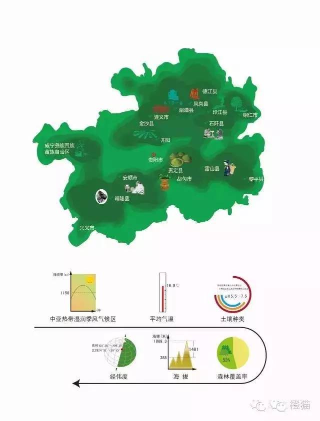 贵州茶业产业发展的盛会 2024 贵州茶业大会在省会贵阳隆重召开