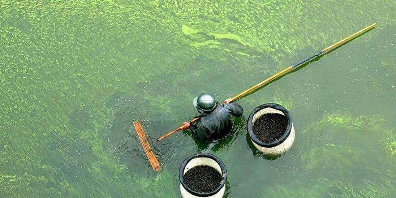 水拉组合面临生涯转折 湖人年终压哨交易深谋远虑 命运岌岌可危