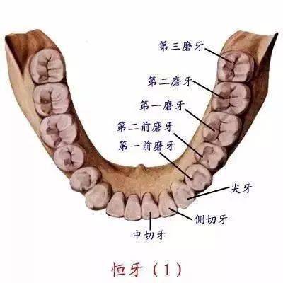 陈君石