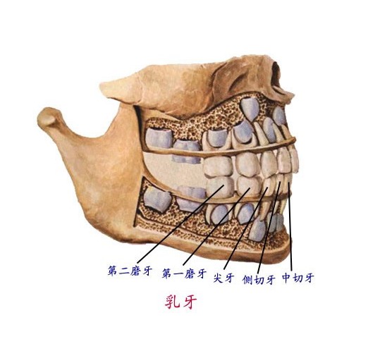 科普活动