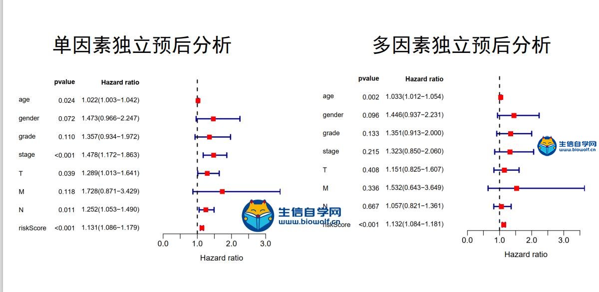 成因剖析与预防指南 18岁男生突患胃癌