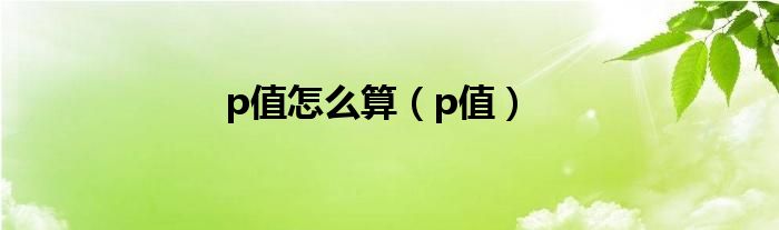 p p 以大众汽车为例 引进来 走出去是关键 国际化之路