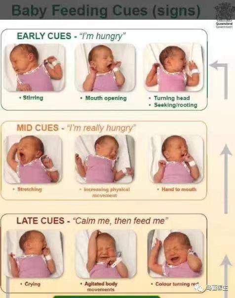 宝宝饥饿信号全解析 及时响应 健康养育
