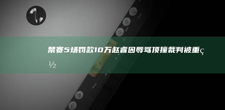 禁赛5场罚款10万 赵睿因辱骂顶撞裁判被重罚