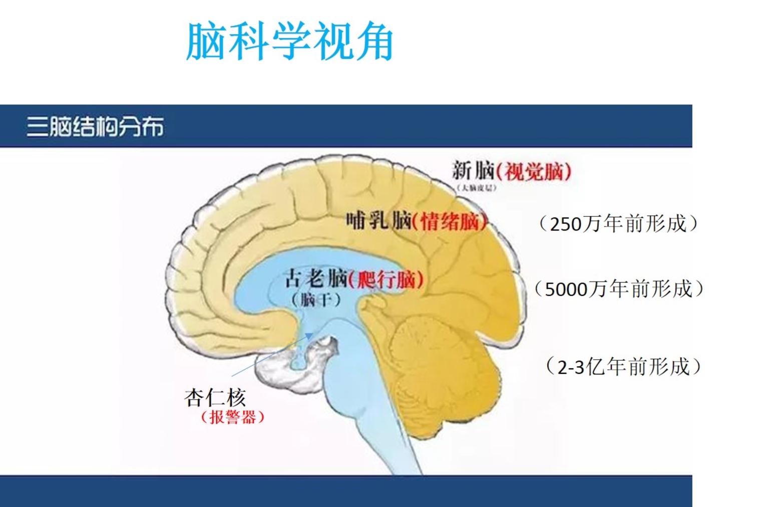 变化