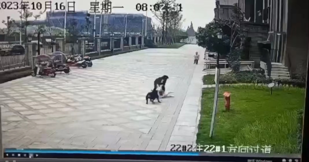 孕妇被犬咬伤 是否能打狂犬疫苗