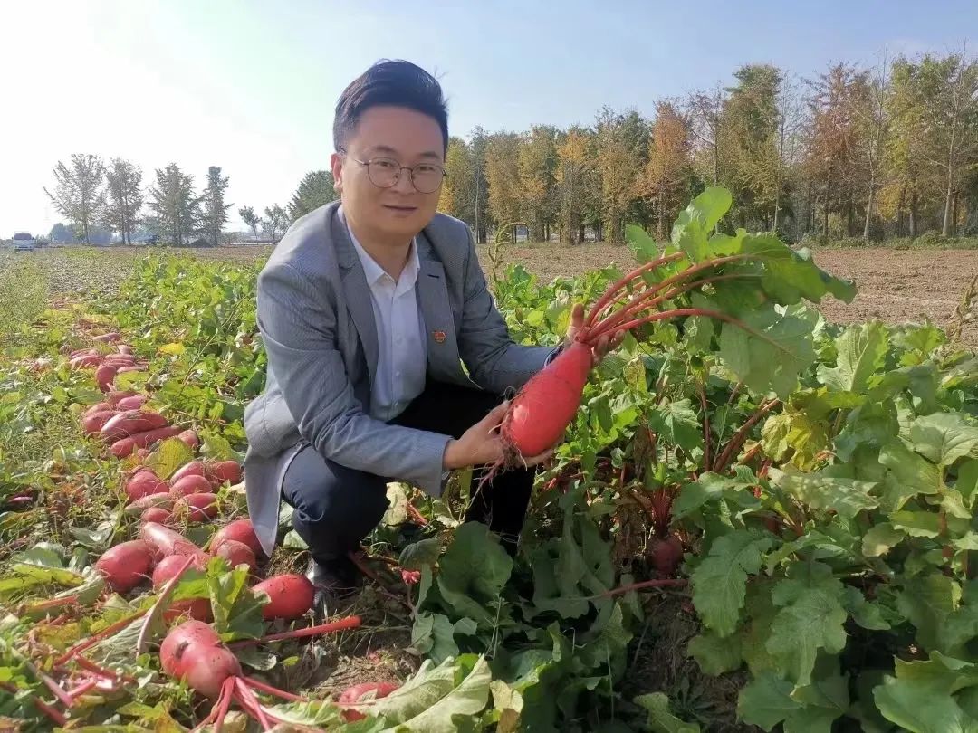 南北区票王胡金秋 CBA全明星首周票选结果 赵睿领跑