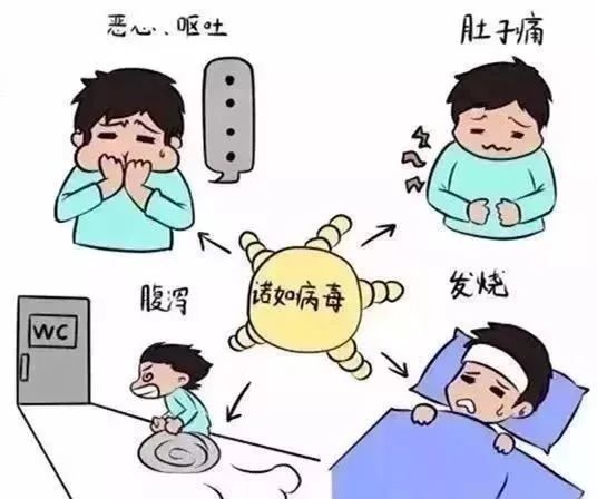 应对诺如病毒高发期 科学控防指南