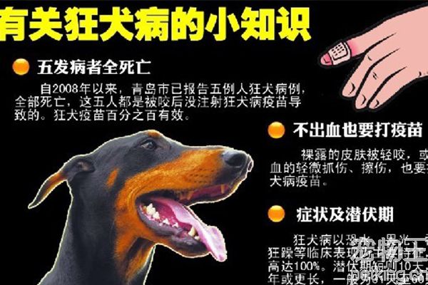 狂犬病