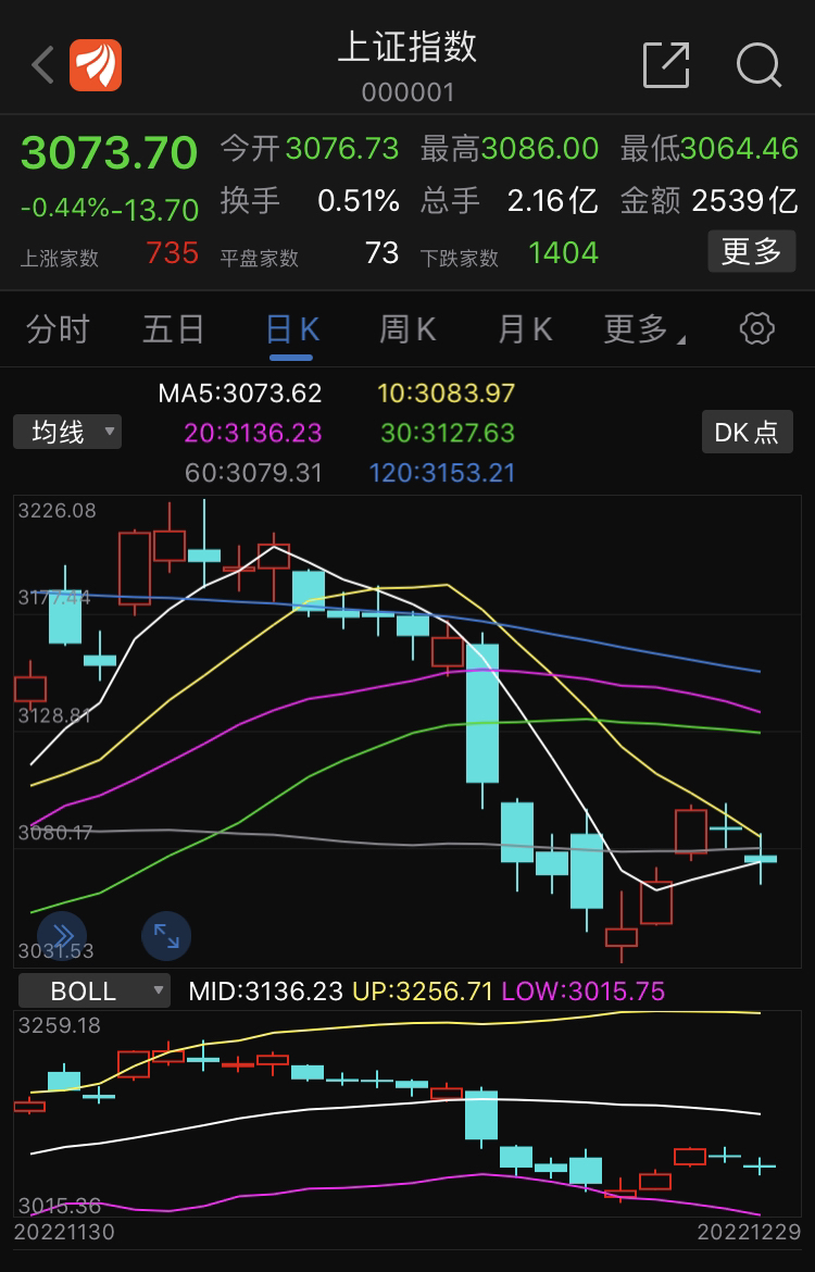 股价跳水 比亚迪实现超越 特斯拉销量下滑