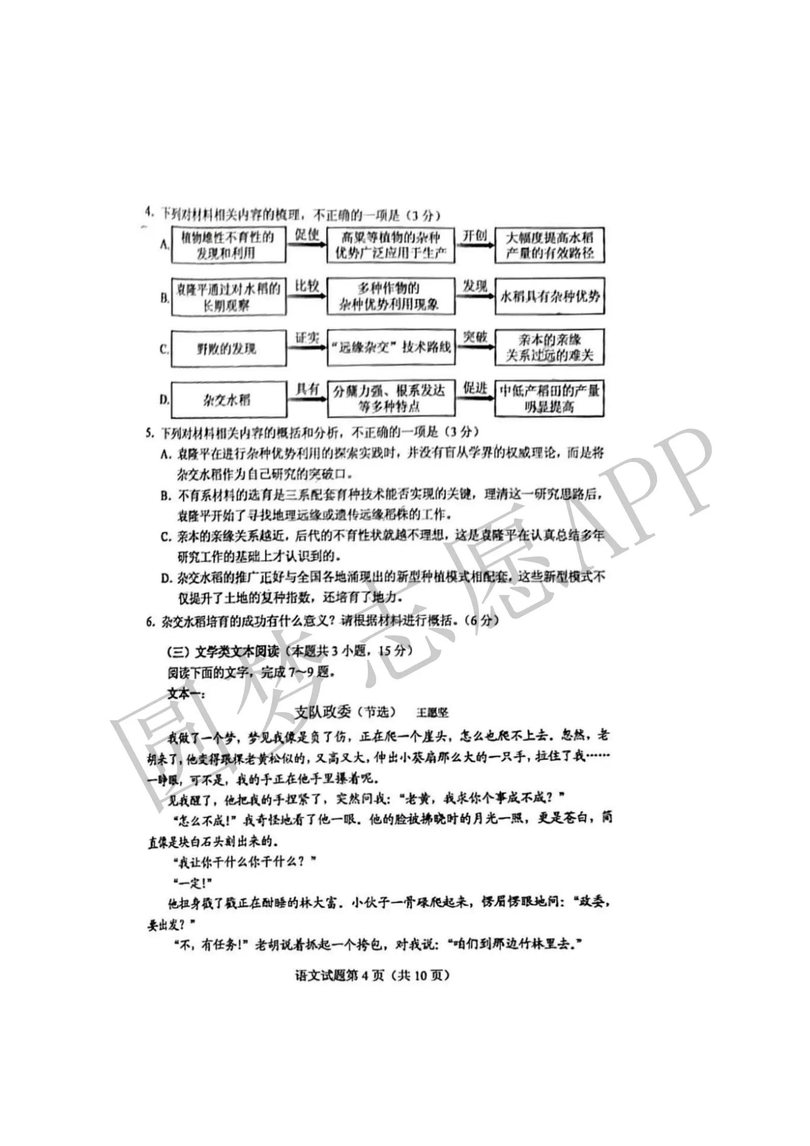 答案揭晓 2025年燃油车市场反弹预测