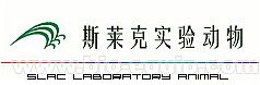 上海力克宁波 洛夫顿准三双 豪取12连胜 本土三人20