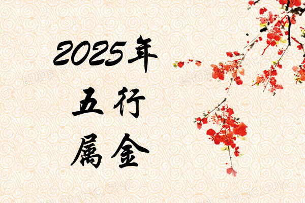 2024年第100例手术完成 跨年夜 北京佑安医院肝移植创造新纪录