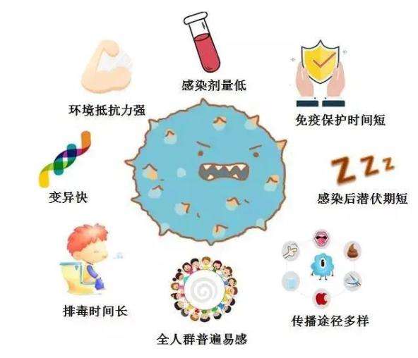 b 诺如病毒高发期防控指南 守护健康 b 科学应对