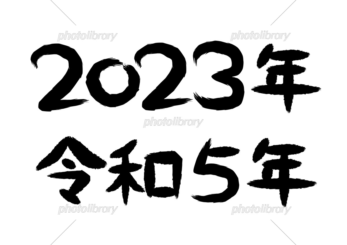 2023年度总结 回顾 展望和收获