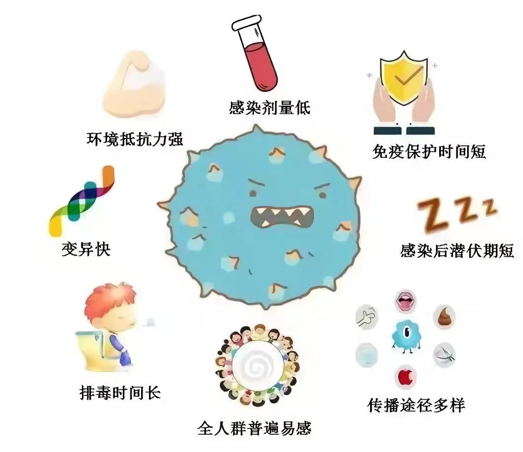 诺如病毒高发期防控指南 有效应对 科学防范