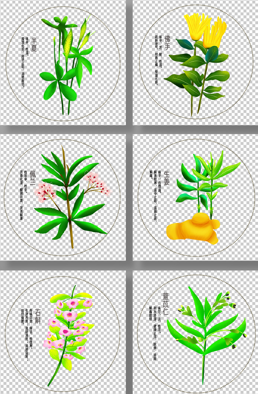 古代中医药智慧的传承与现代养生之道 德叔医古