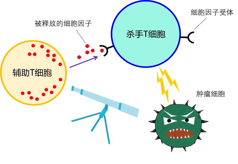 化合物