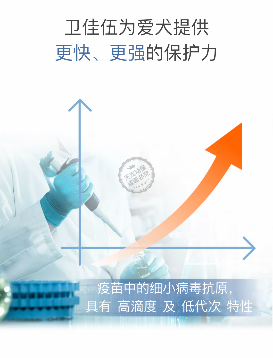 韦思佳横扫两盘 距离首次大满贯正赛仅一步之遥