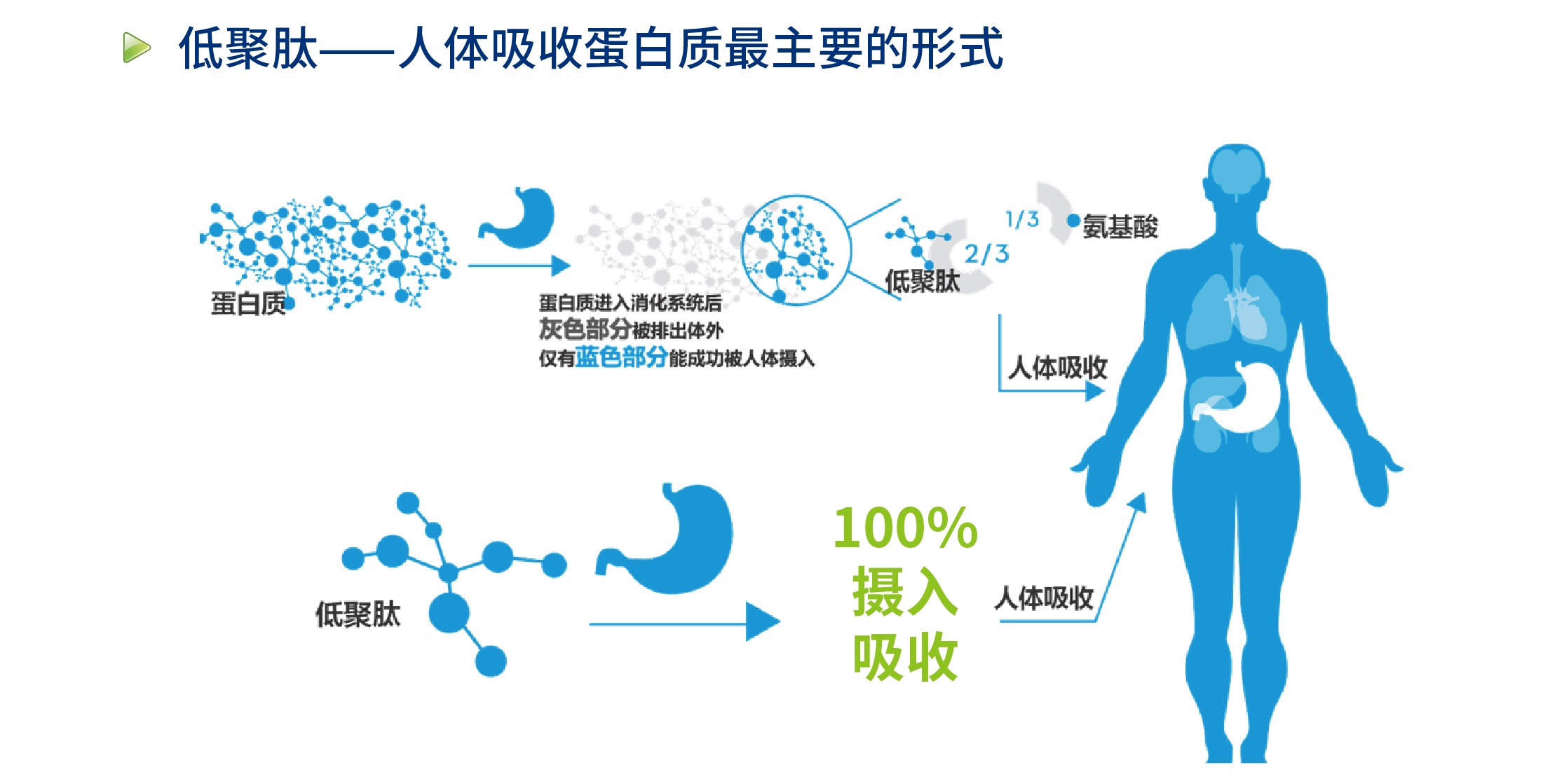 富含抗炎因子 口感媲美冰淇淋的水果 助力肠道健康