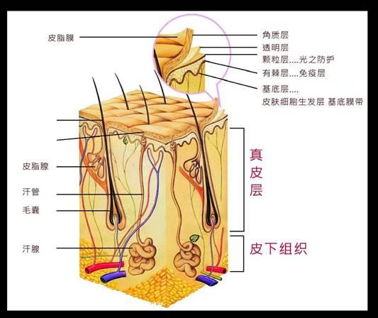 药物