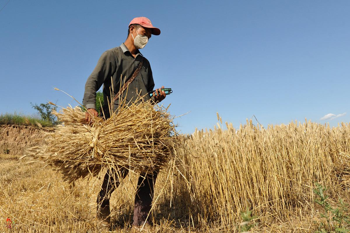 過量攝取的真相