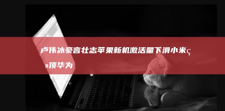 卢伟冰豪言壮志 苹果新机激活量下滑 小米登顶 华为大涨