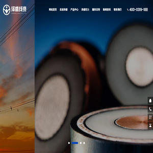 泽盛线缆有限公司