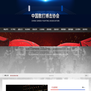 中国散打搏击协会
