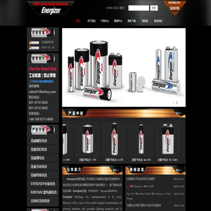 ENERGIZER劲量电池