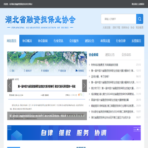 湖北省融资担保业协会