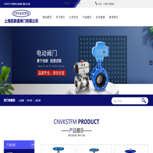 上海凯斯通阀门有限公司