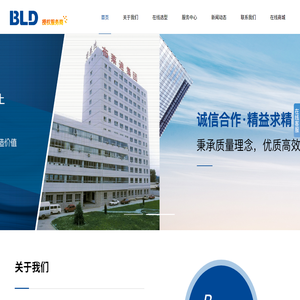 BLD/北京布莱迪仪器仪表有限公司